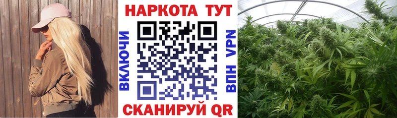 Где купить наркотики Трёхгорный Альфа ПВП COCAIN Псилоцибиновые грибы Канабис ГАШ