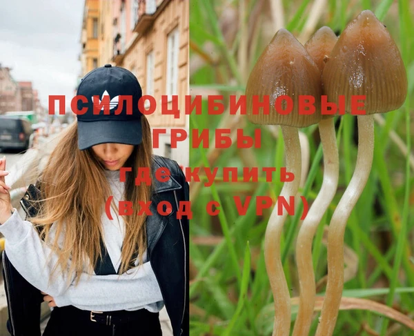 герыч Алексеевка